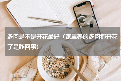 多肉是不是开花最好（家里养的多肉都开花了是咋回事）