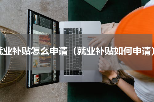 就业补贴怎么申请（就业补贴如何申请）