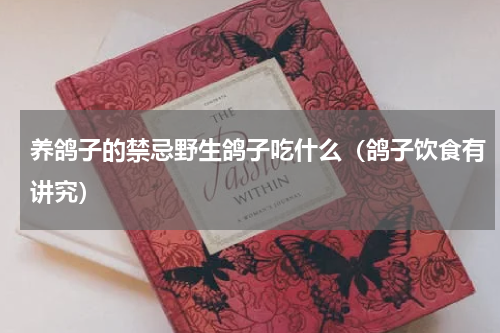 养鸽子的禁忌野生鸽子吃什么（鸽子饮食有讲究）