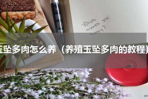 玉坠多肉怎么养（养殖玉坠多肉的教程）