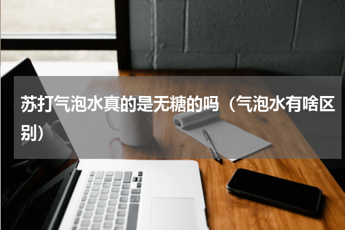 苏打气泡水真的是无糖的吗（气泡水有啥区别）