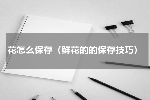 花怎么保存（鲜花的的保存技巧）