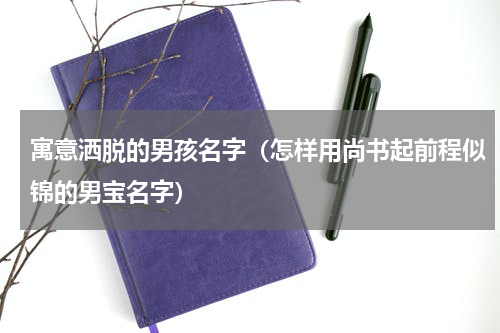 寓意洒脱的男孩名字（怎样用尚书起前程似锦的男宝名字）