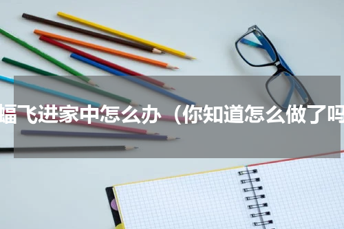 蝙蝠飞进家中怎么办（你知道怎么做了吗）