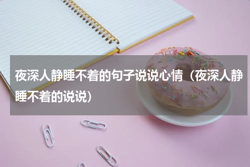 夜深人静睡不着的句子说说心情（夜深人静睡不着的说说）