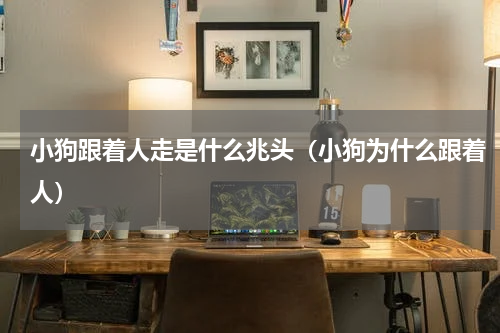 小狗跟着人走是什么兆头（小狗为什么跟着人）