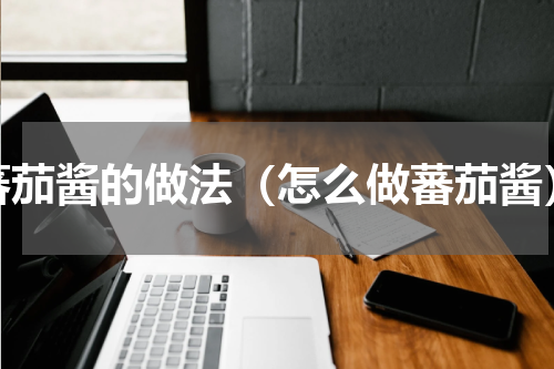 蕃茄酱的做法（怎么做蕃茄酱）