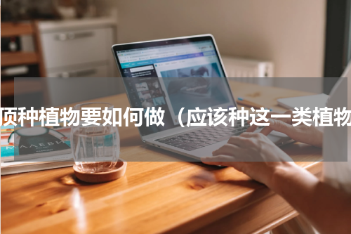 房顶种植物要如何做（应该种这一类植物）