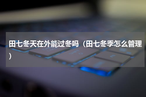 田七冬天在外能过冬吗（田七冬季怎么管理）
