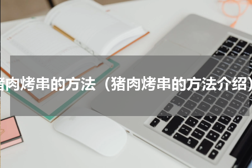 猪肉烤串的方法（猪肉烤串的方法介绍）
