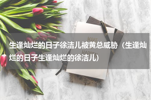生逢灿烂的日子徐洁儿被黄总威胁（生逢灿烂的日子生逢灿烂的徐洁儿）