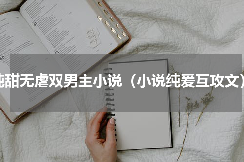纯甜无虐双男主小说（小说纯爱互攻文）