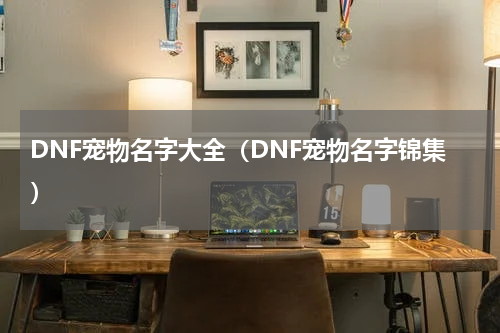 DNF宠物名字大全（DNF宠物名字锦集）