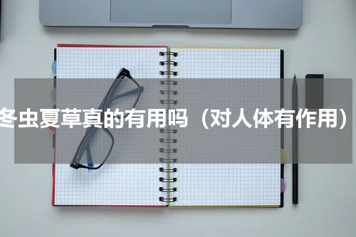 冬虫夏草真的有用吗（对人体有作用）