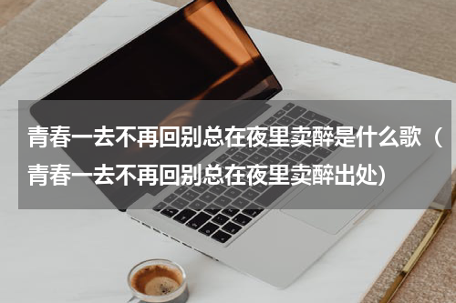 青春一去不再回别总在夜里卖醉是什么歌（青春一去不再回别总在夜里卖醉出处）