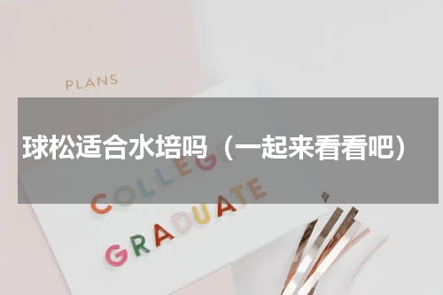 球松适合水培吗（一起来看看吧）