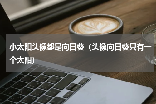 小太阳头像都是向日葵（头像向日葵只有一个太阳）