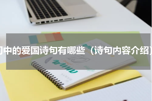初中的爱国诗句有哪些（诗句内容介绍）