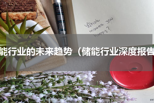 储能行业的未来趋势（储能行业深度报告）