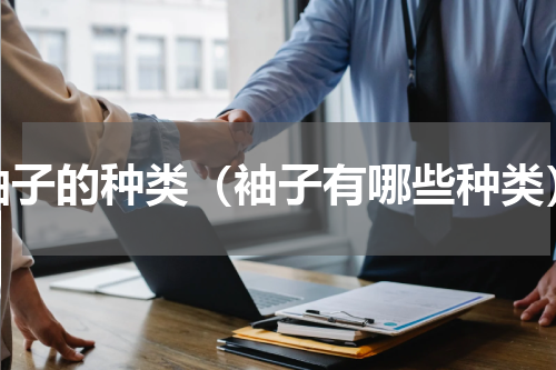 袖子的种类（袖子有哪些种类）