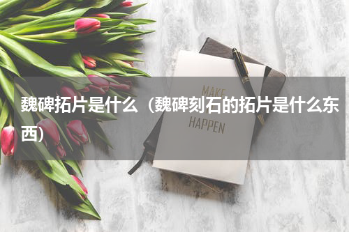 魏碑拓片是什么（魏碑刻石的拓片是什么东西）