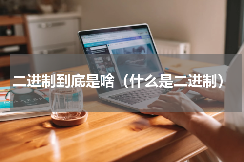 二进制到底是啥（什么是二进制）
