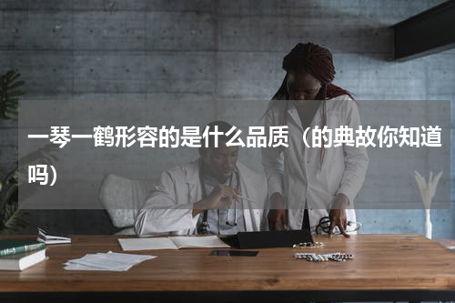 一琴一鹤形容的是什么品质（的典故你知道吗）