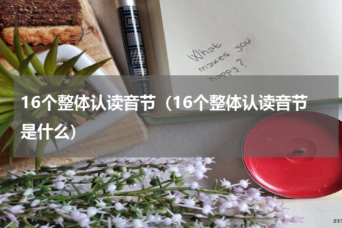 16个整体认读音节（16个整体认读音节是什么）