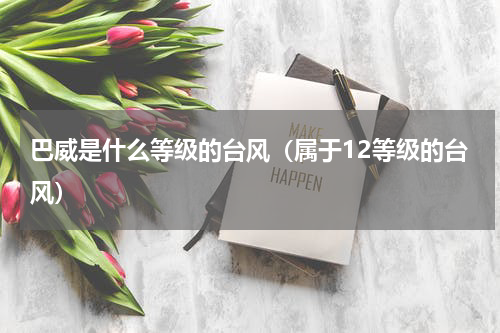 巴威是什么等级的台风（属于12等级的台风）