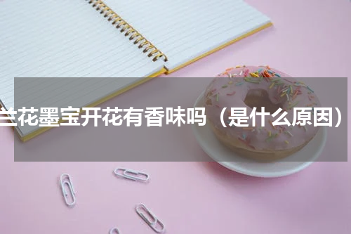 兰花墨宝开花有香味吗（是什么原因）
