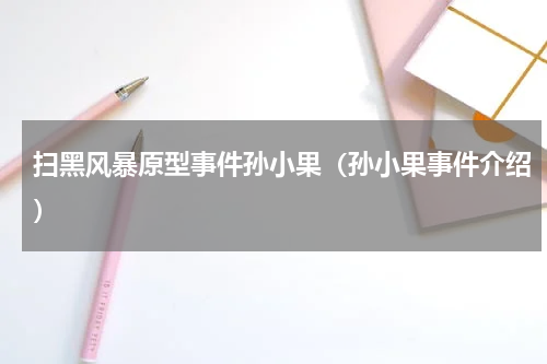 扫黑风暴原型事件孙小果（孙小果事件介绍）