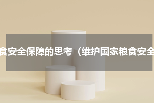 粮食安全保障的思考（维护国家粮食安全）