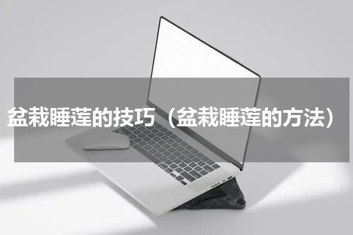 盆栽睡莲的技巧（盆栽睡莲的方法）