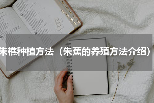 朱樵种植方法（朱蕉的养殖方法介绍）