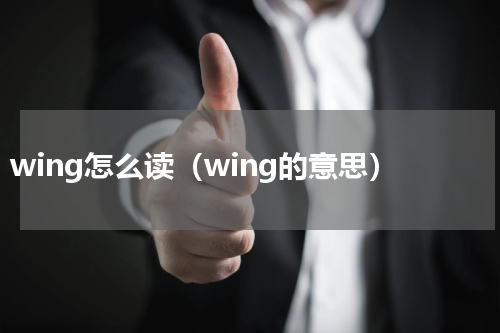 wing怎么读（wing的意思）