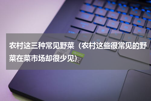 农村这三种常见野菜（农村这些很常见的野菜在菜市场却很少见）