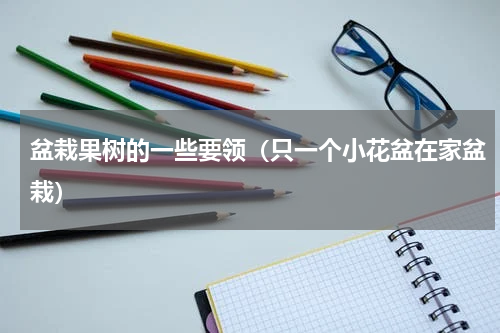 盆栽果树的一些要领（只一个小花盆在家盆栽）
