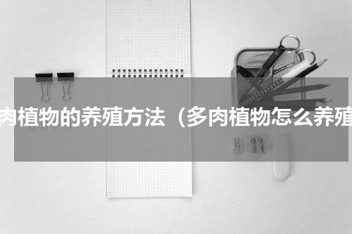 多肉植物的养殖方法（多肉植物怎么养殖）
