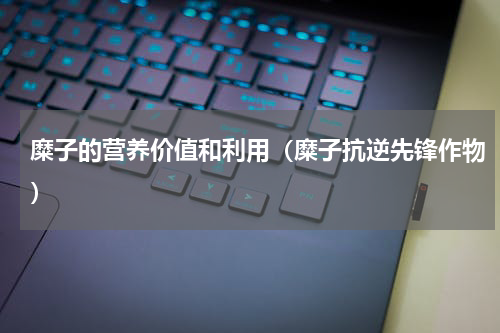 糜子的营养价值和利用（糜子抗逆先锋作物）