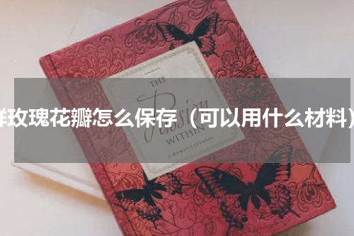 鲜玫瑰花瓣怎么保存（可以用什么材料）