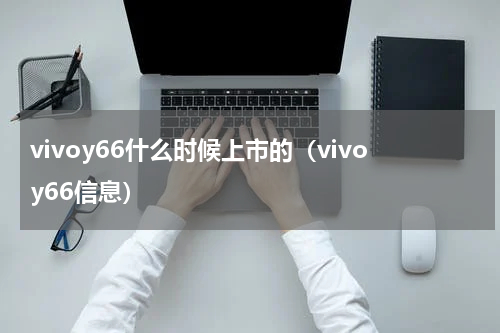 vivoy66什么时候上市的（vivoy66信息）
