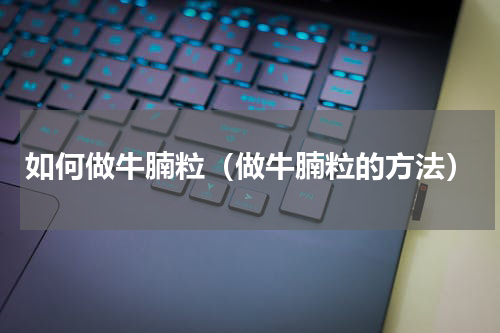 如何做牛腩粒（做牛腩粒的方法）