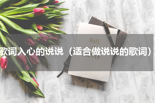 歌词入心的说说（适合做说说的歌词）