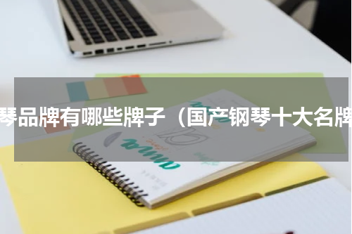 钢琴品牌有哪些牌子（国产钢琴十大名牌）