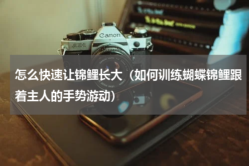 怎么快速让锦鲤长大（如何训练蝴蝶锦鲤跟着主人的手势游动）