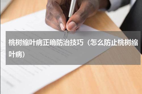 桃树缩叶病正确防治技巧（怎么防止桃树缩叶病）