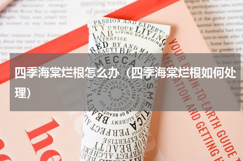 四季海棠烂根怎么办（四季海棠烂根如何处理）