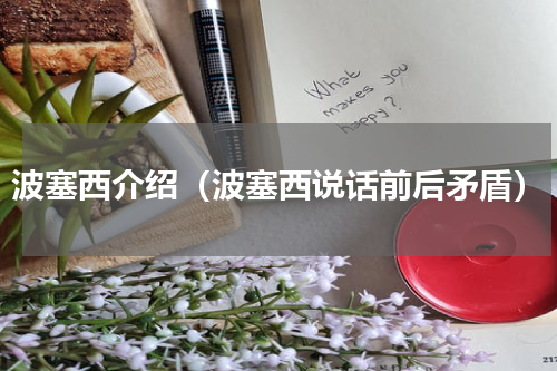 波塞西介绍（波塞西说话前后矛盾）
