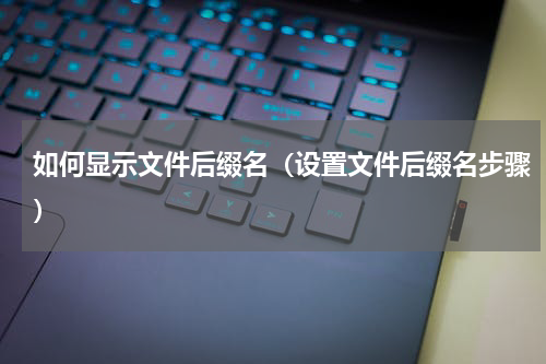 如何显示文件后缀名（设置文件后缀名步骤）
