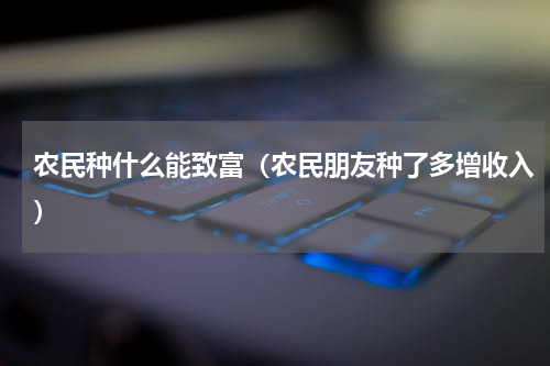 农民种什么能致富（农民朋友种了多增收入）